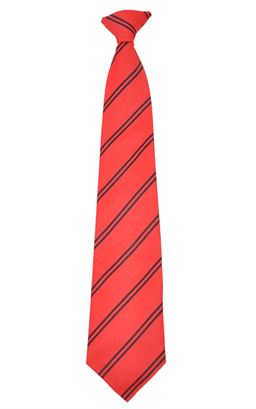 Picture of Coleraine College Clip-On Tie - Unicol