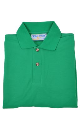 Picture of Plain Polo Shirt - Blue Max