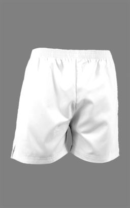 Picture of PE Shorts White - David Luke