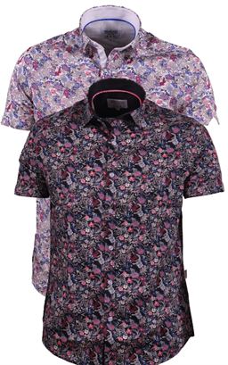 Picture of DRK Short Sleeve Shirt Maya 2293MA