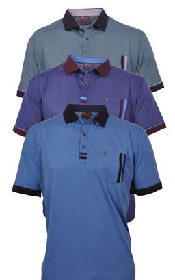 Picture of Gabicci Polo Shirt G47X10