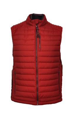 Picture of Fynch-Hatton Gilet 1221-2601