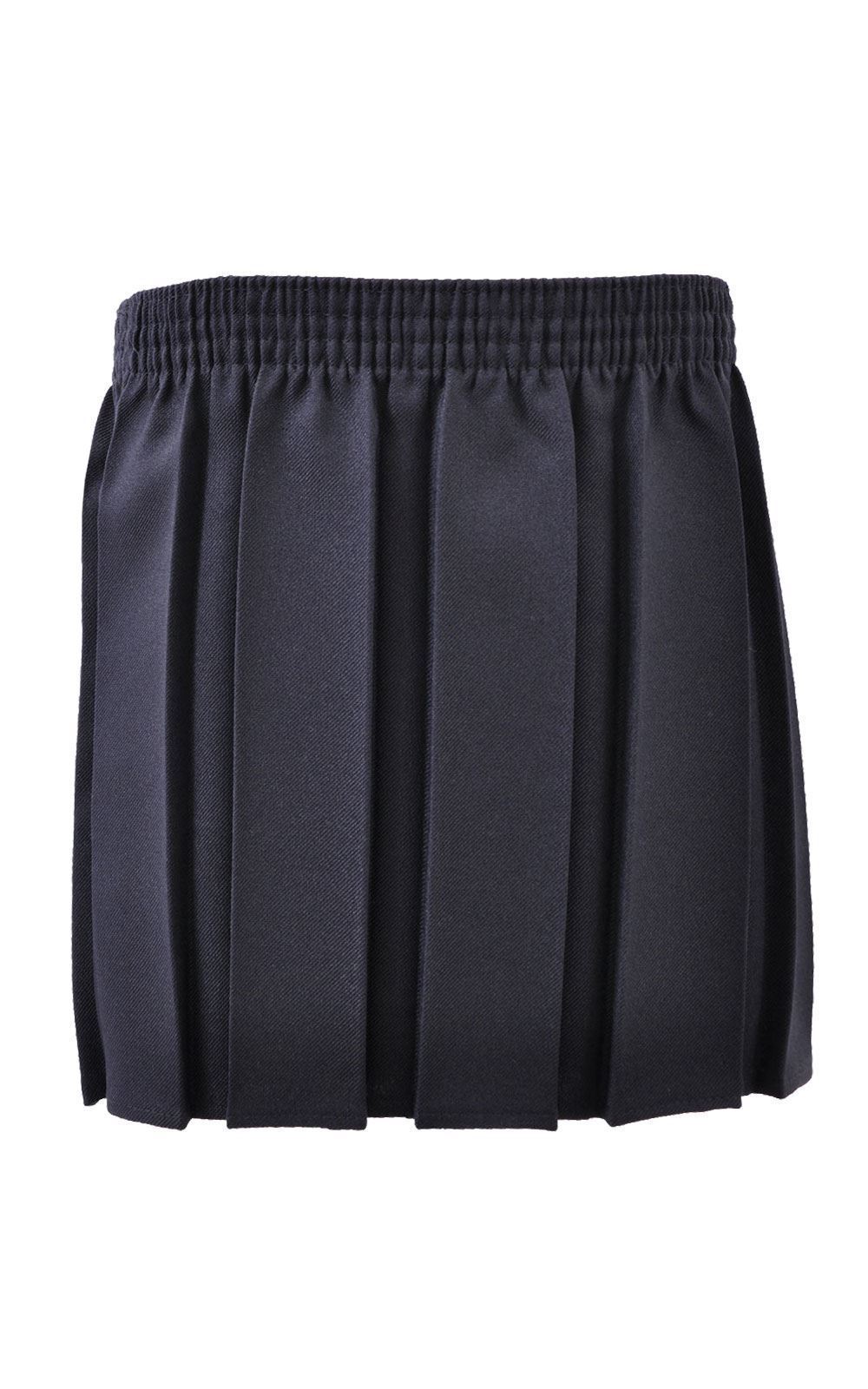 Picture of Pleated All Round Skirt