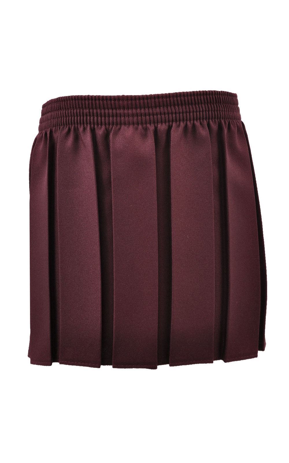 Picture of Pleated All Round Skirt