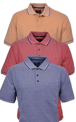 Picture of Daniel Grahame Polo Shirt Drifter 55104